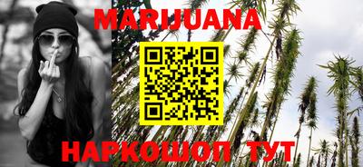 шишки Будённовск
