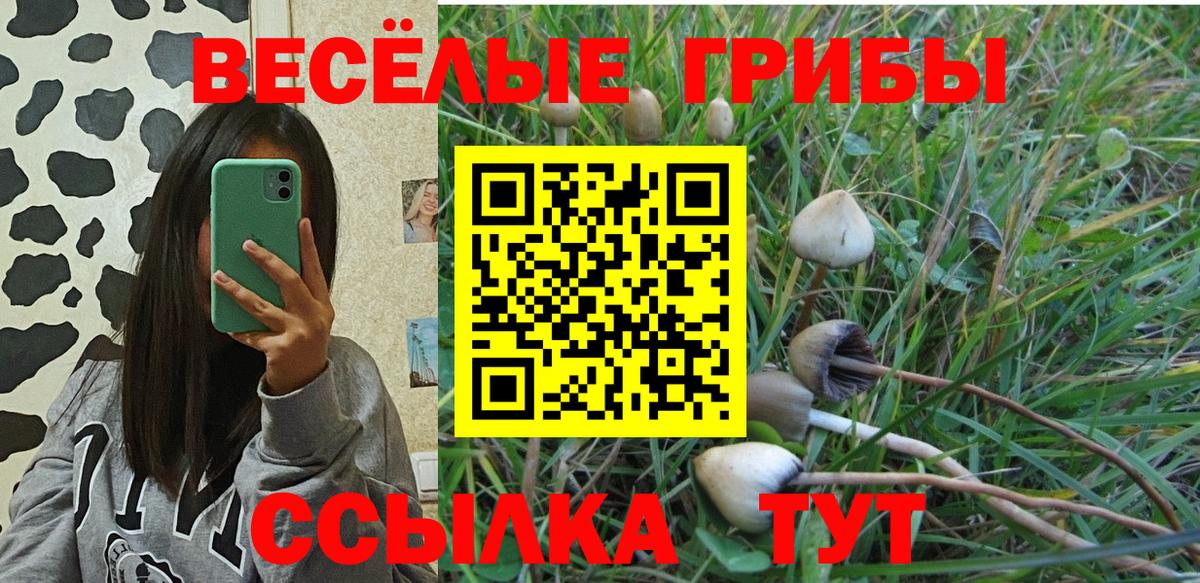 Рузаевка  Псилоцибиновые грибы Psilocybe  Псилоцибиновые грибы мухоморы  Вход с VPN 
