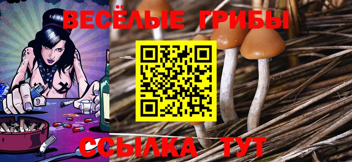Псилоцибиновые грибы прущие грибы Рузаевка